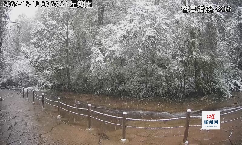 天台山雪景监控截图1