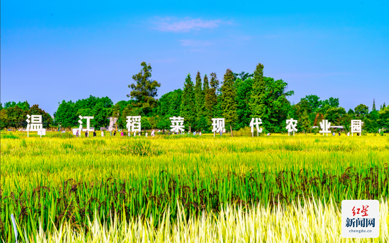 高山1