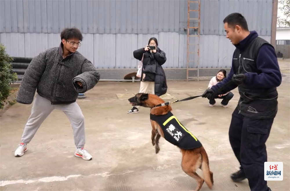 警犬训练基地