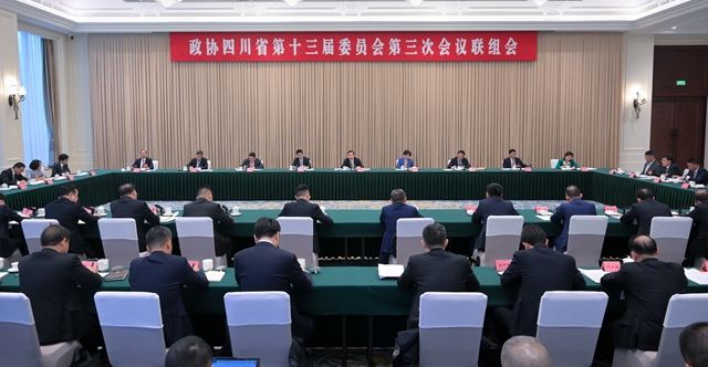 王晓晖参加省政协十三届三次会议联组会