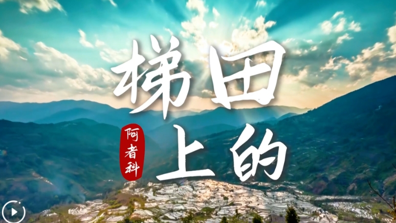 微信截图_20250211152520