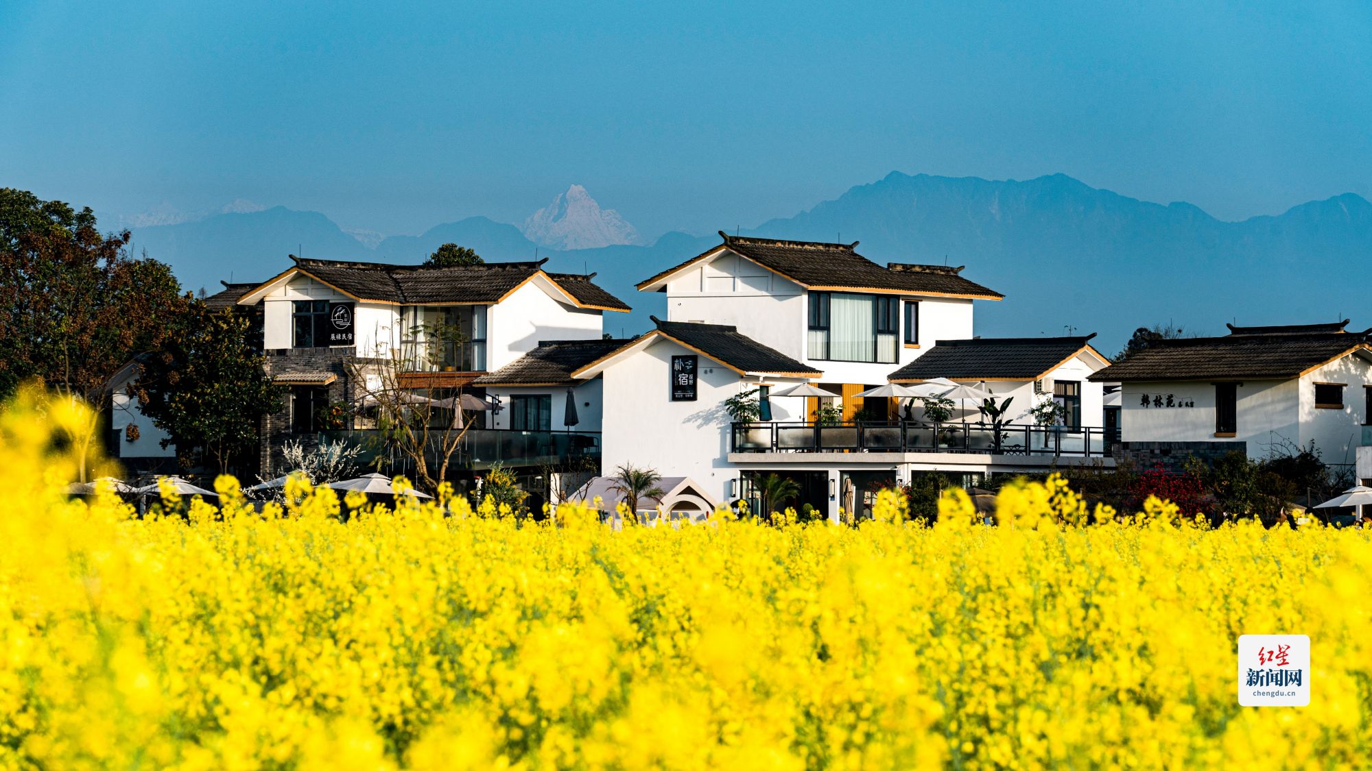五星村