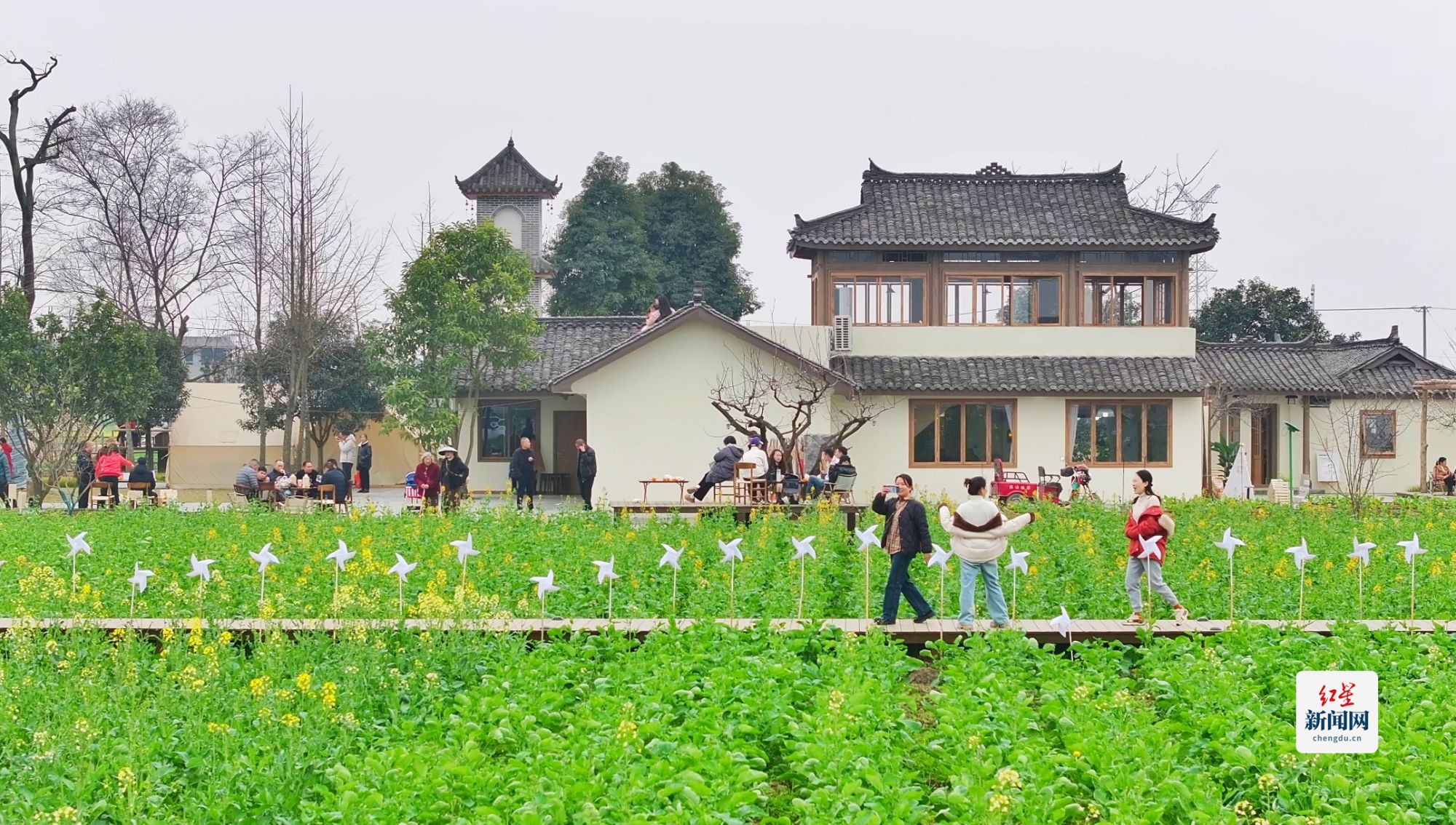 Screenshot_20250302_011649_com.huawei.himovie-01[1]