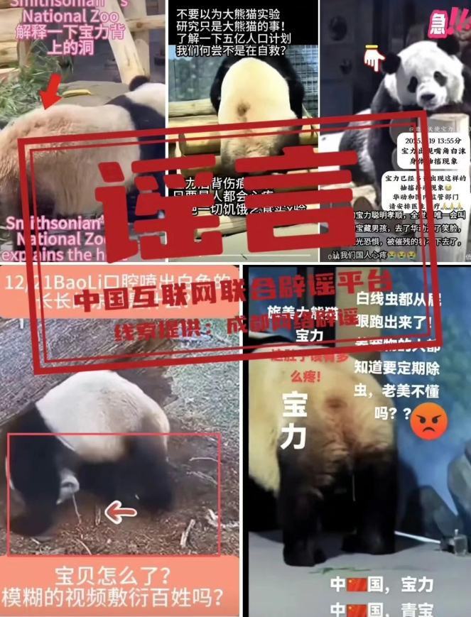 微信截图_20250304132120