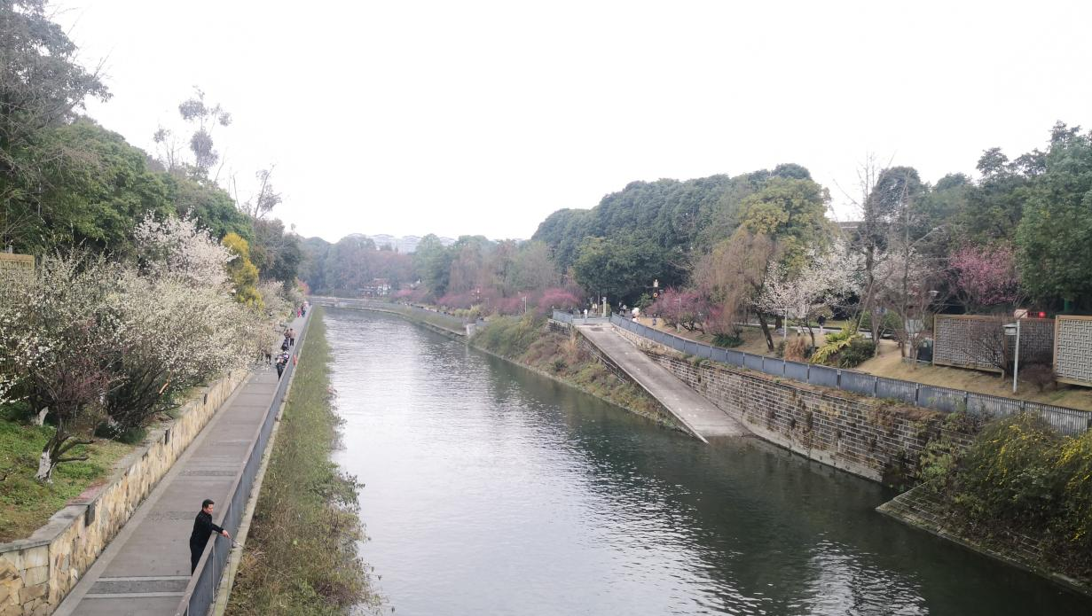 ▲浣花溪两岸水清岸绿景美人和（摄影：吴渝）