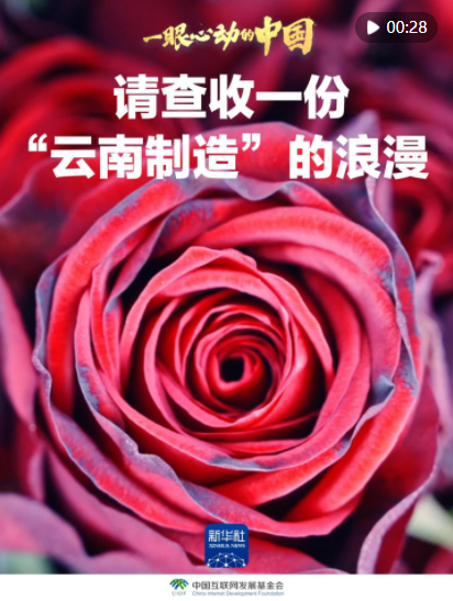 QQ截图20250320120028