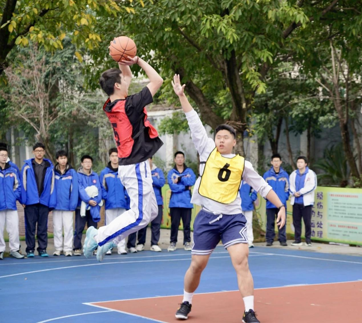 图片3