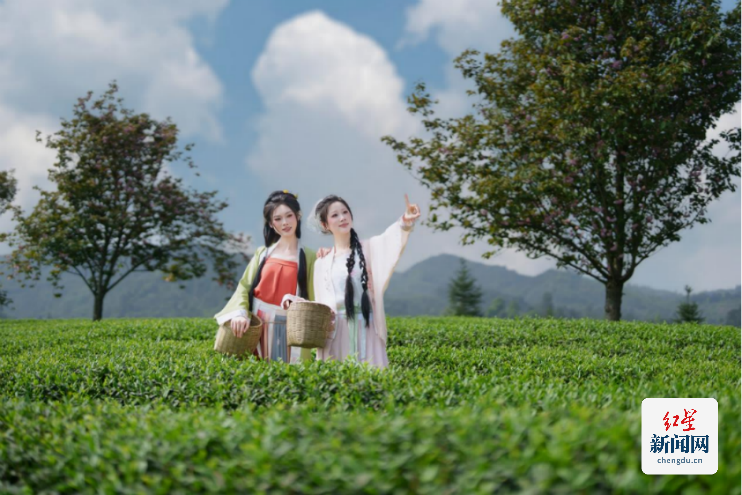古韵新章!斗茶盛会共鉴紫茶风华(2)173