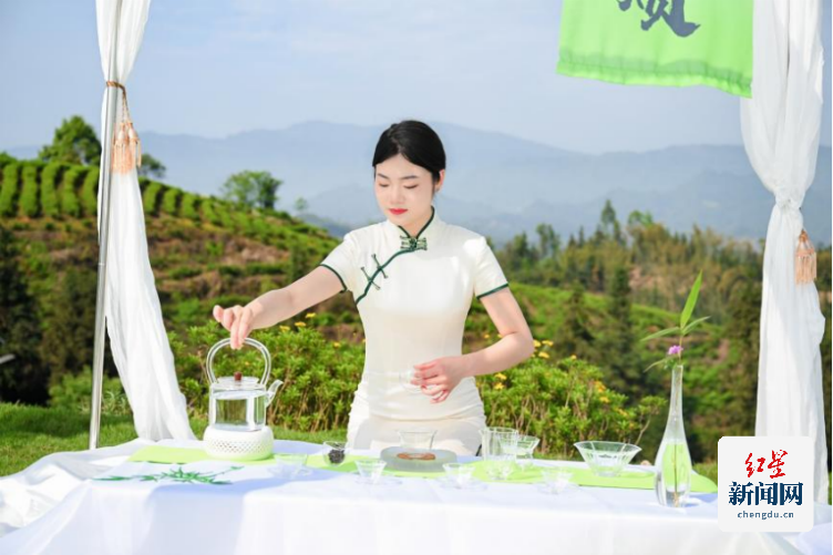 古韵新章!斗茶盛会共鉴紫茶风华(2)1157