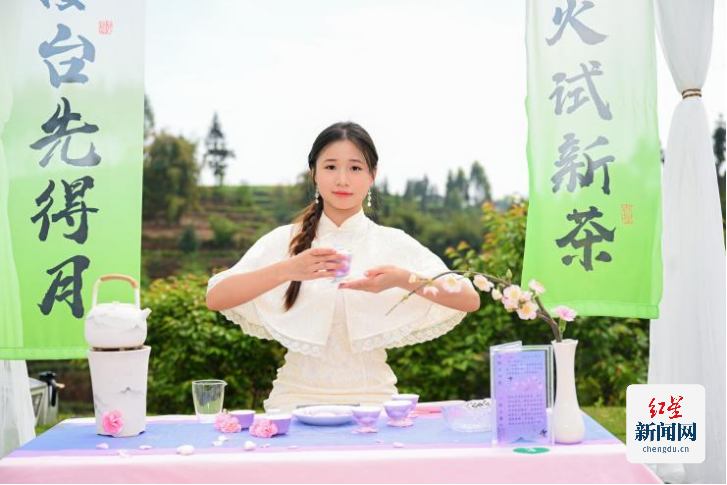 古韵新章!斗茶盛会共鉴紫茶风华(2)1159