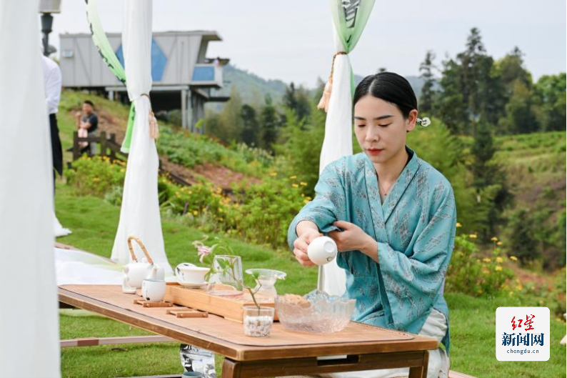 古韵新章!斗茶盛会共鉴紫茶风华(2)1161