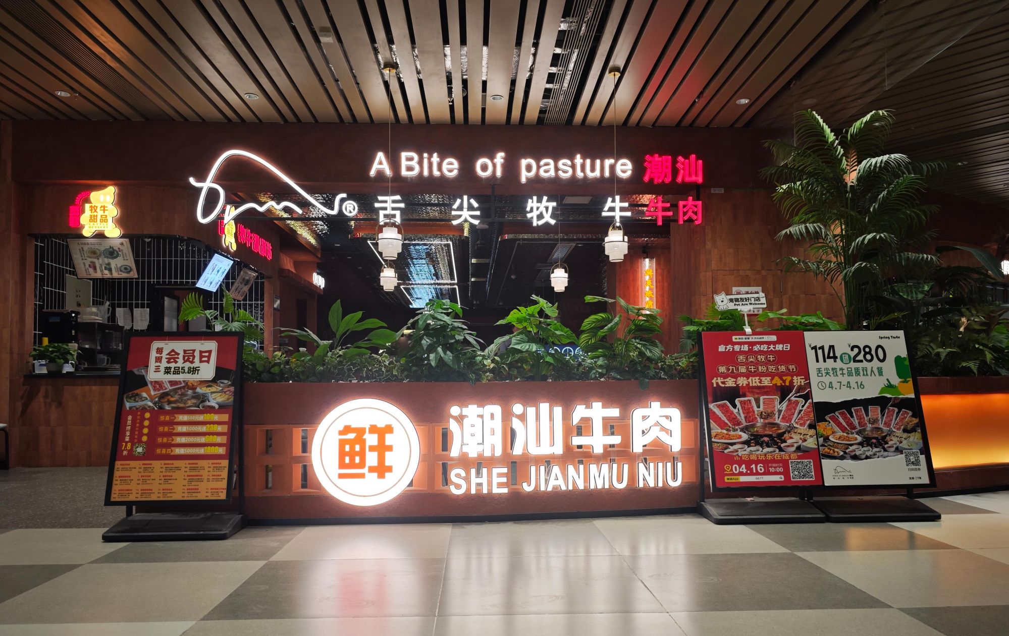 潮汕牛肉对“鲜”的追求可谓是刻在基因里,用于涮烫的牛肉,不仅对品种有着极高要求,且必须是熟成期前的新鲜牛肉,这意味着屠宰处理后,牛肉得在短短 5 小时内送达厨房,分秒必争。舌尖牧牛更是以近乎苛刻的标准,在诠释对“鲜”的追求——舌尖牧牛全省门店牛肉甄选自云贵川1-2岁高品质黄牛,每日凌晨现宰直送,从牧场到餐桌全程锁鲜,兑现“不隔夜”的舌尖承诺。