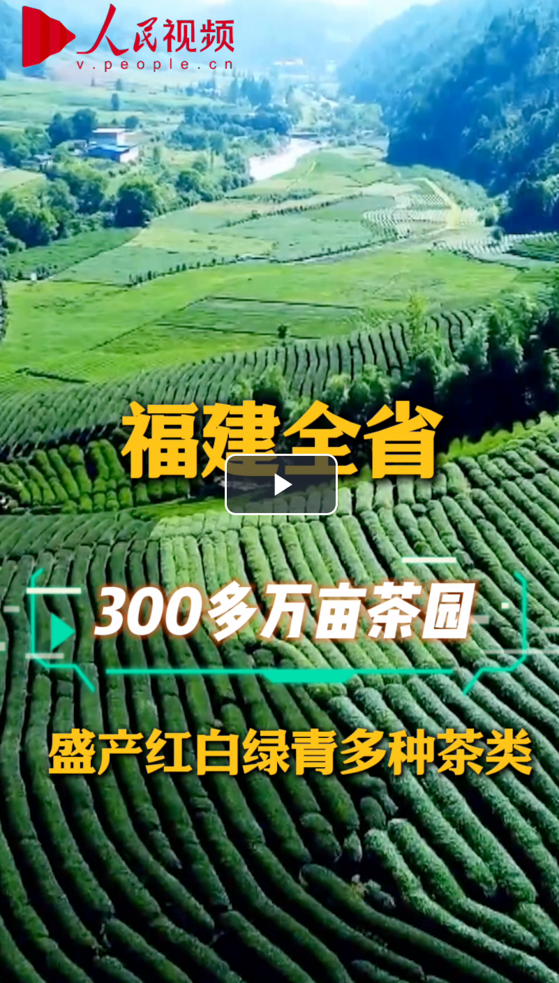 点击看视频