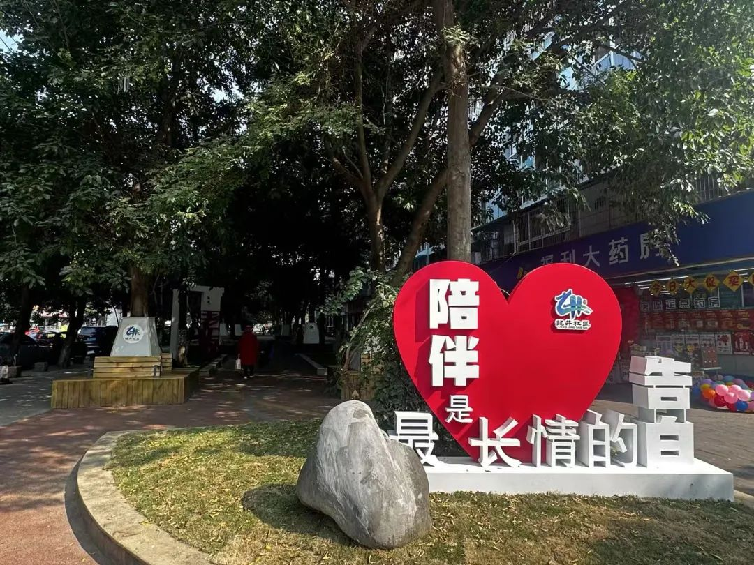 图片8