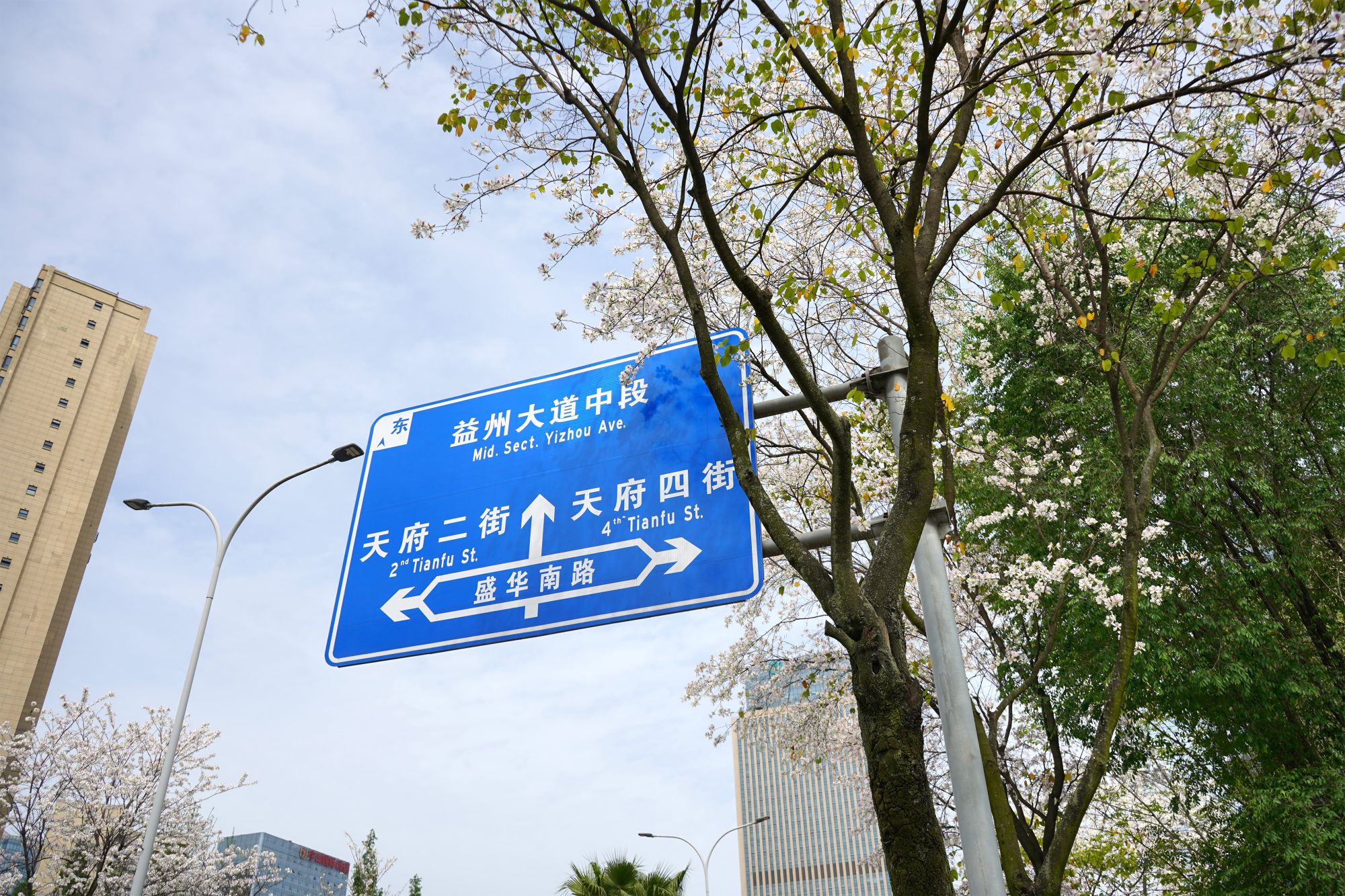 DSC05040