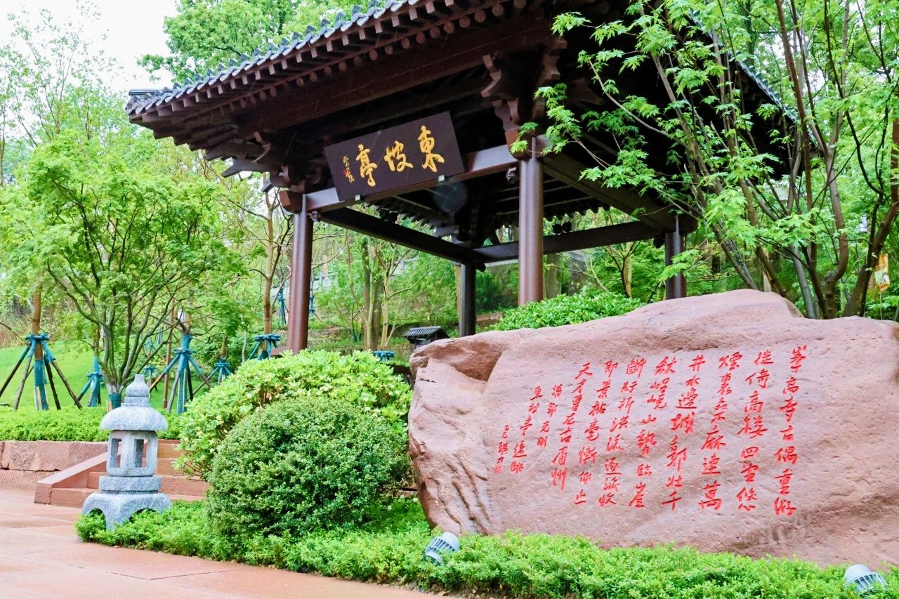 DM_20250426232302_027