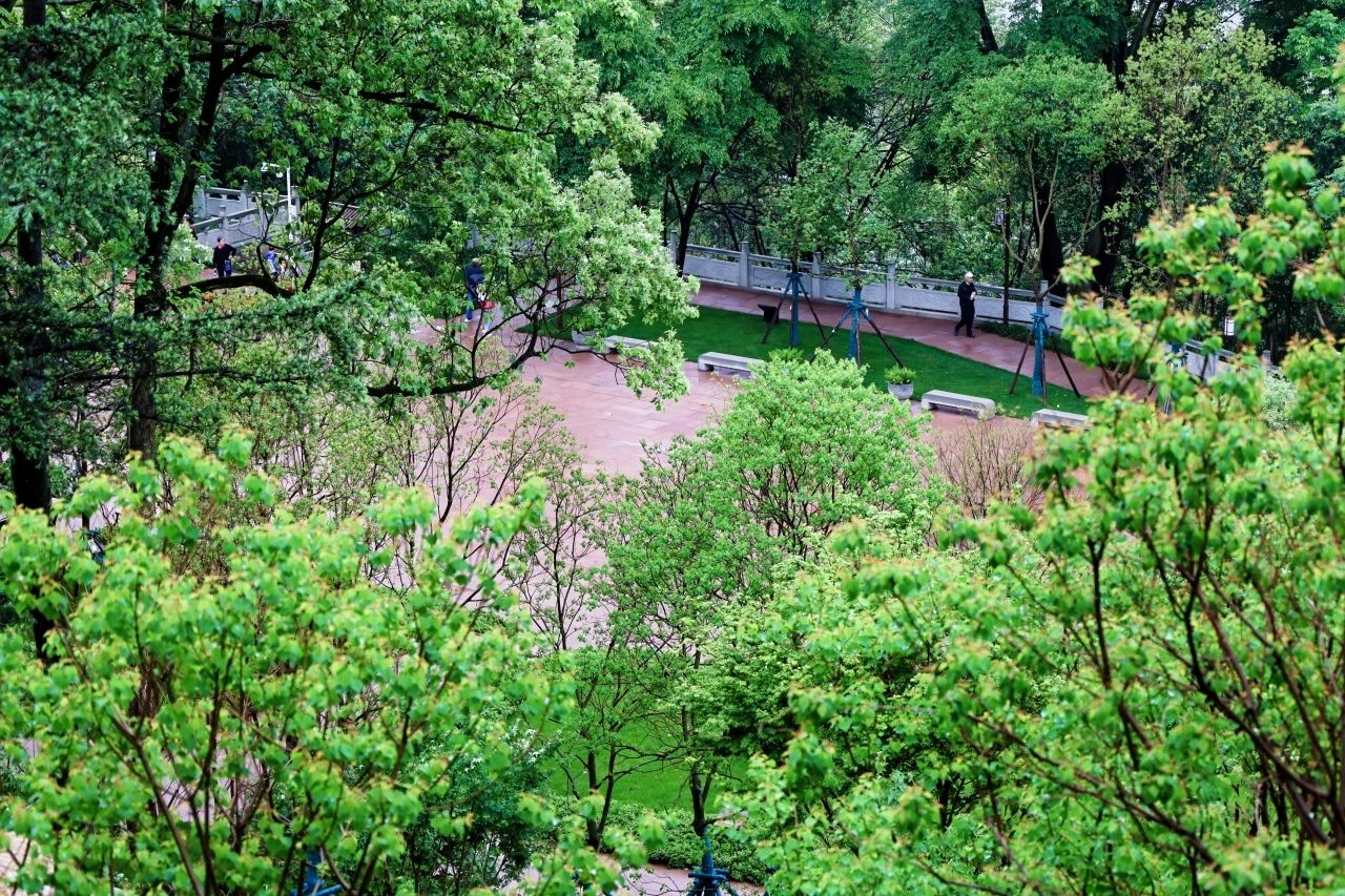 DM_20250426232302_007