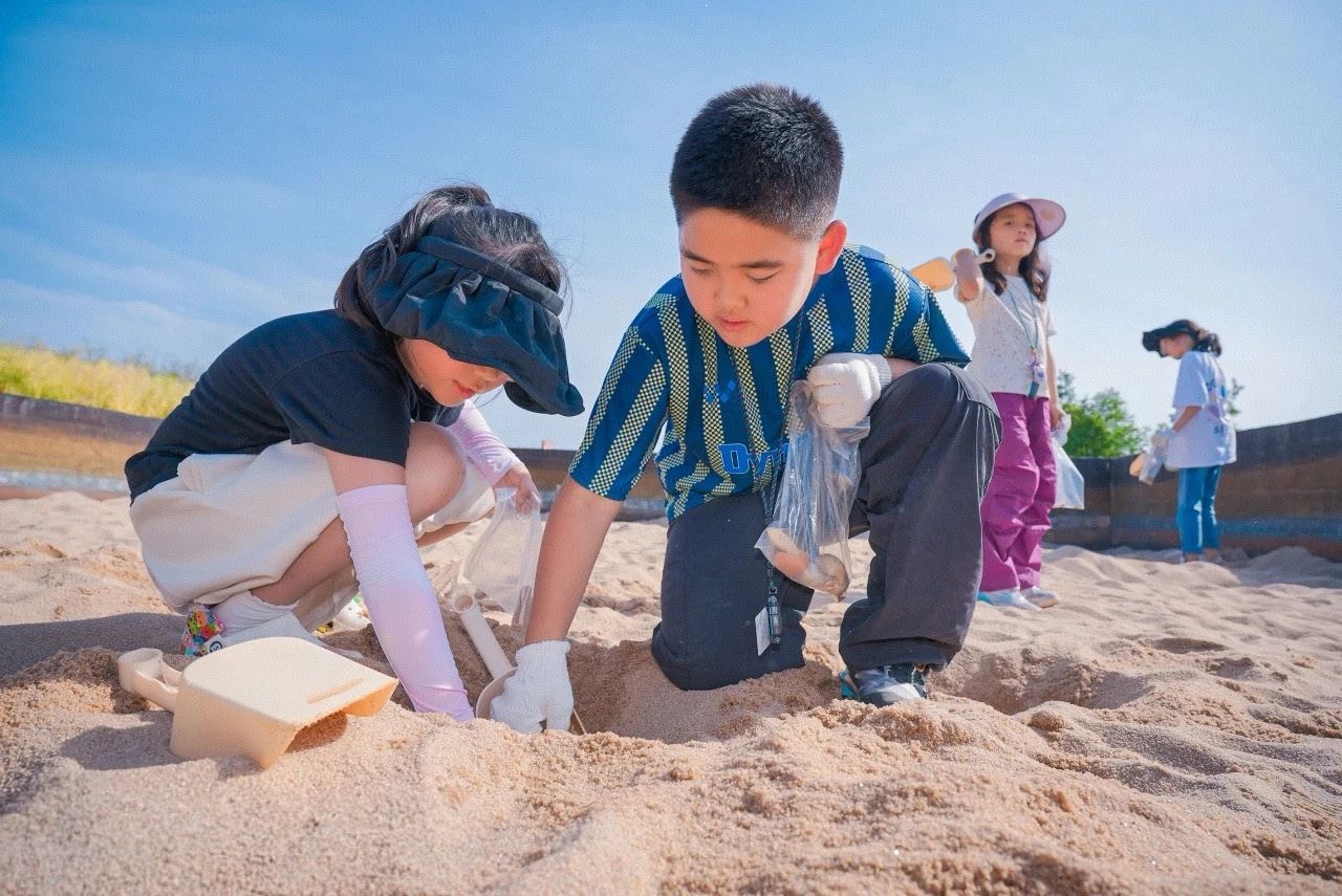 DM_20250503203916_009