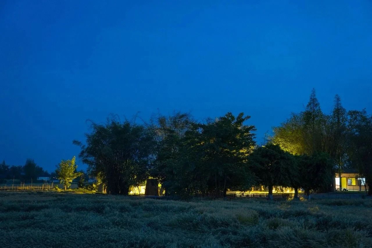 DM_20250503203916_008