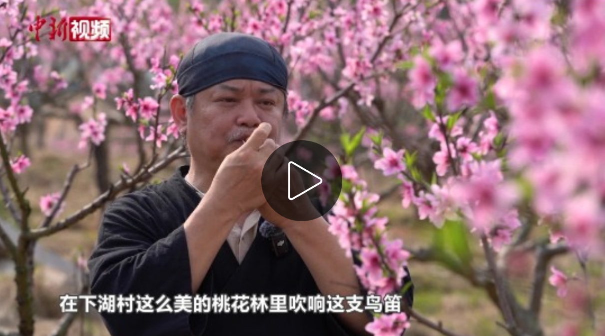 点击看视频