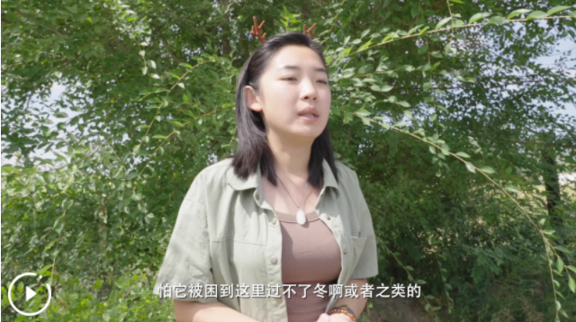 点击看视频