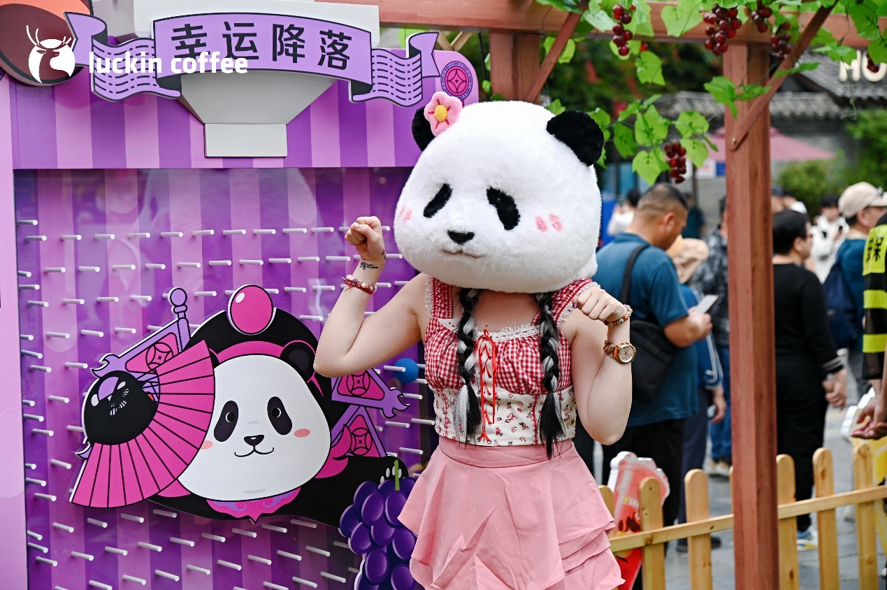 图片6