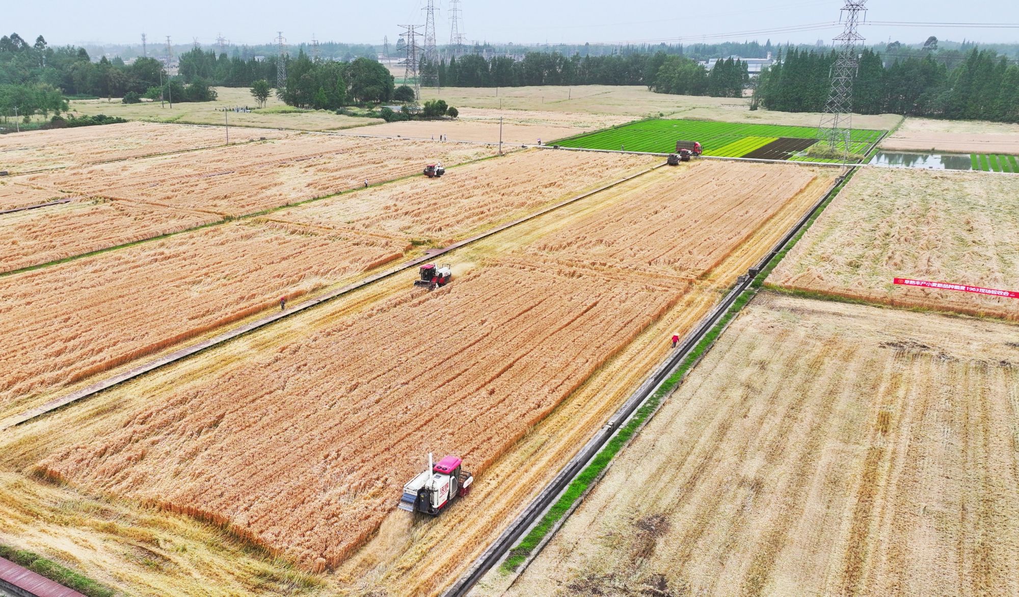 dji_fly_20250509_161428_0273_1746778885764_photo-01