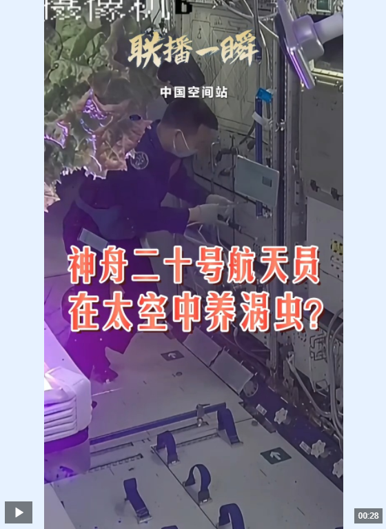 点击看视频