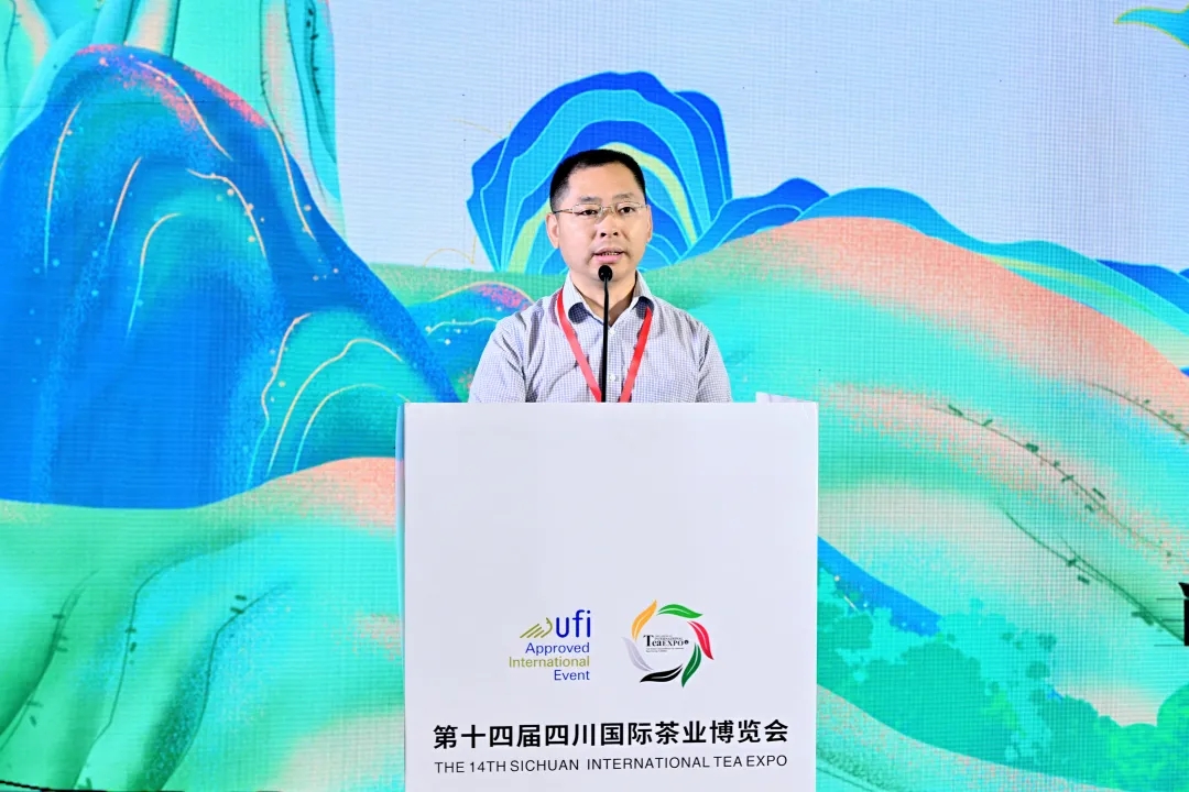近年来，都江堰市坚持以新质生产力为牵引，推进乡村振兴共同富裕新城建设，把茶产业作为推动农业增效、农民增收、农村繁荣的重要支柱产业来抓，以茶文化赋魂，以茶科技赋能。