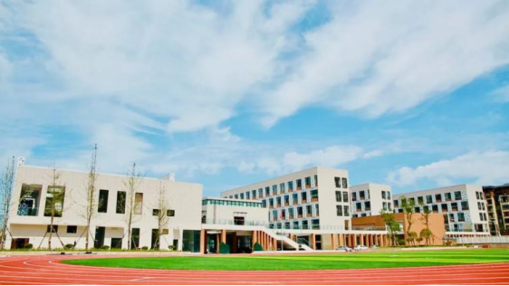 连续两年第一！向阳桥小学的“小史官”秘笈藏不住了！331