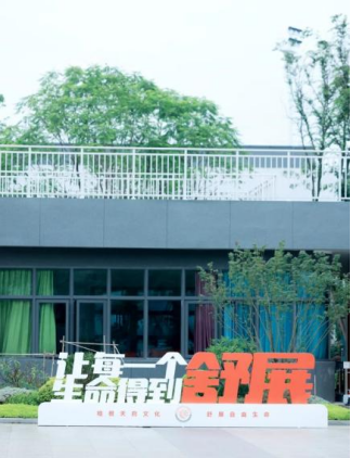 连续两年第一！向阳桥小学的“小史官”秘笈藏不住了！2257
