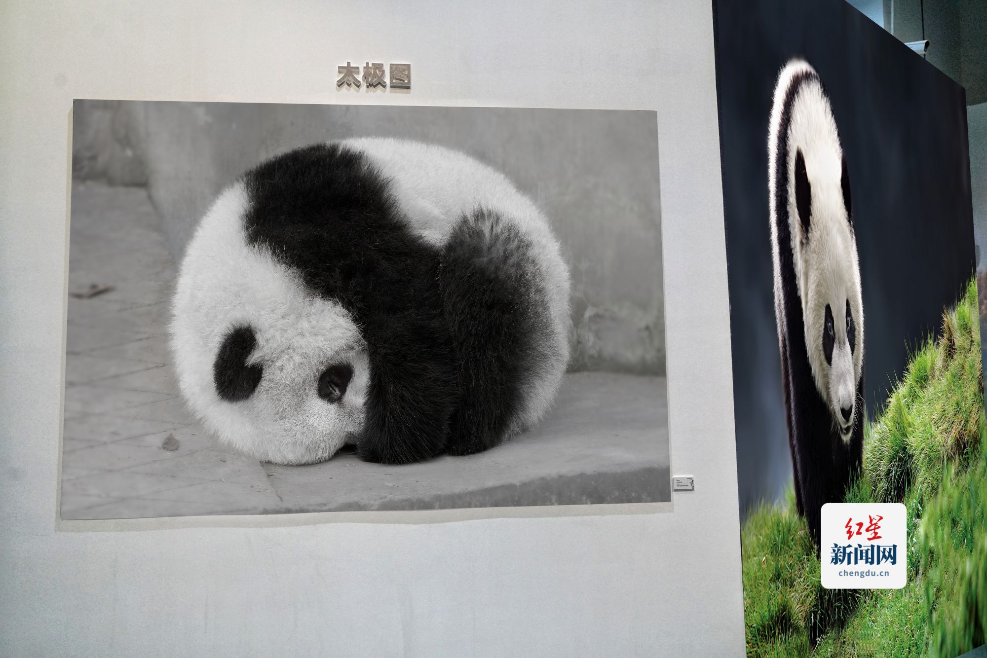 太极图