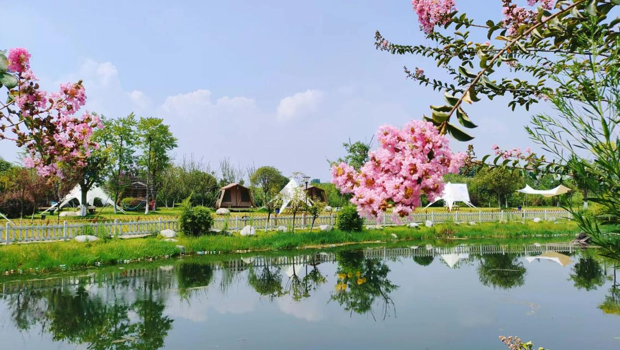 ▲春天的乌木泉湿地公园（图源：翠云村河长办）