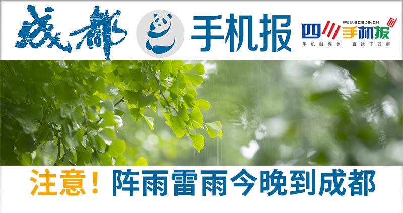 手机报主图