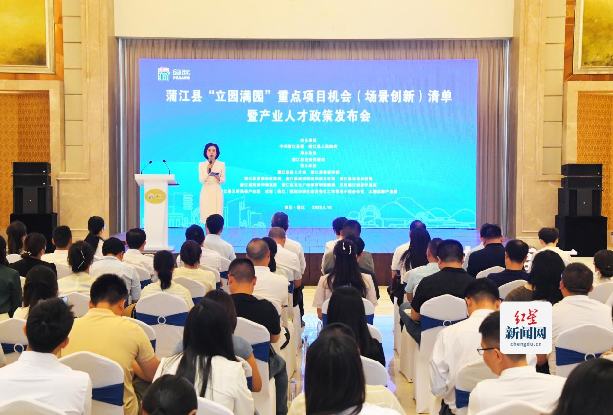 政策发布会  蒲萱摄影