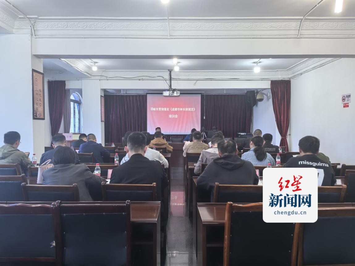 图片6
