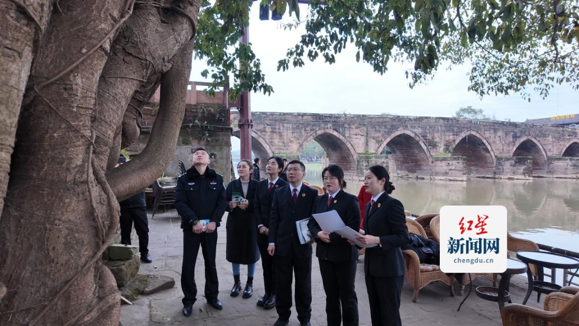 图片7