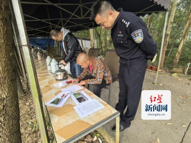 图片8