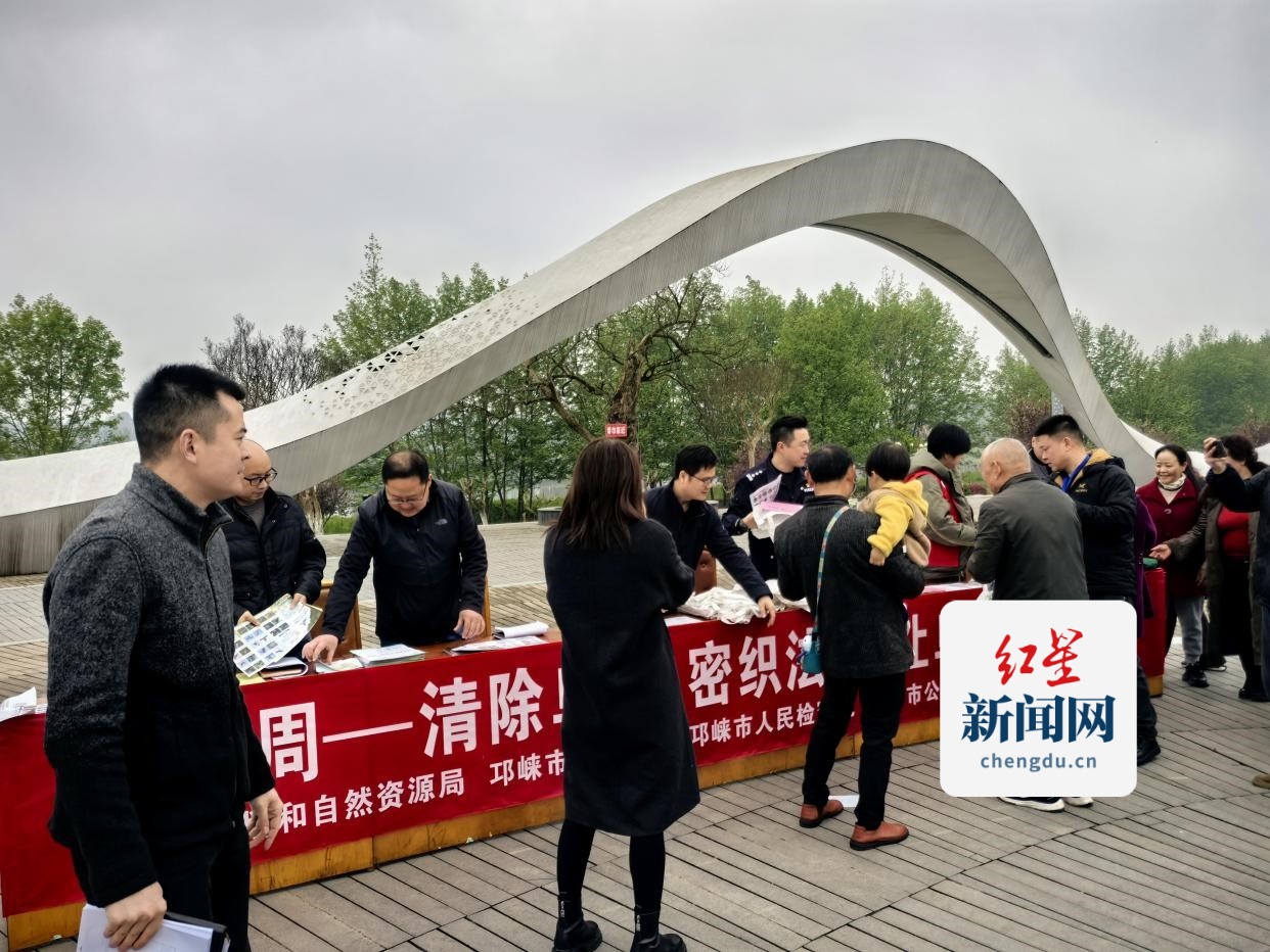 图片13