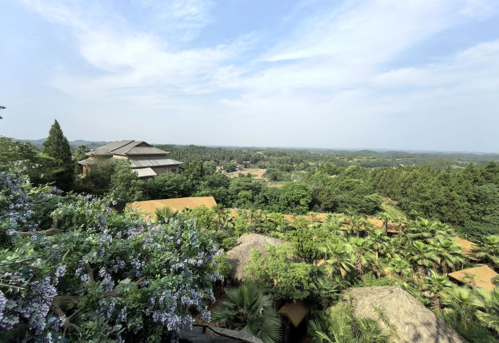 水龙灵温泉度假村风景