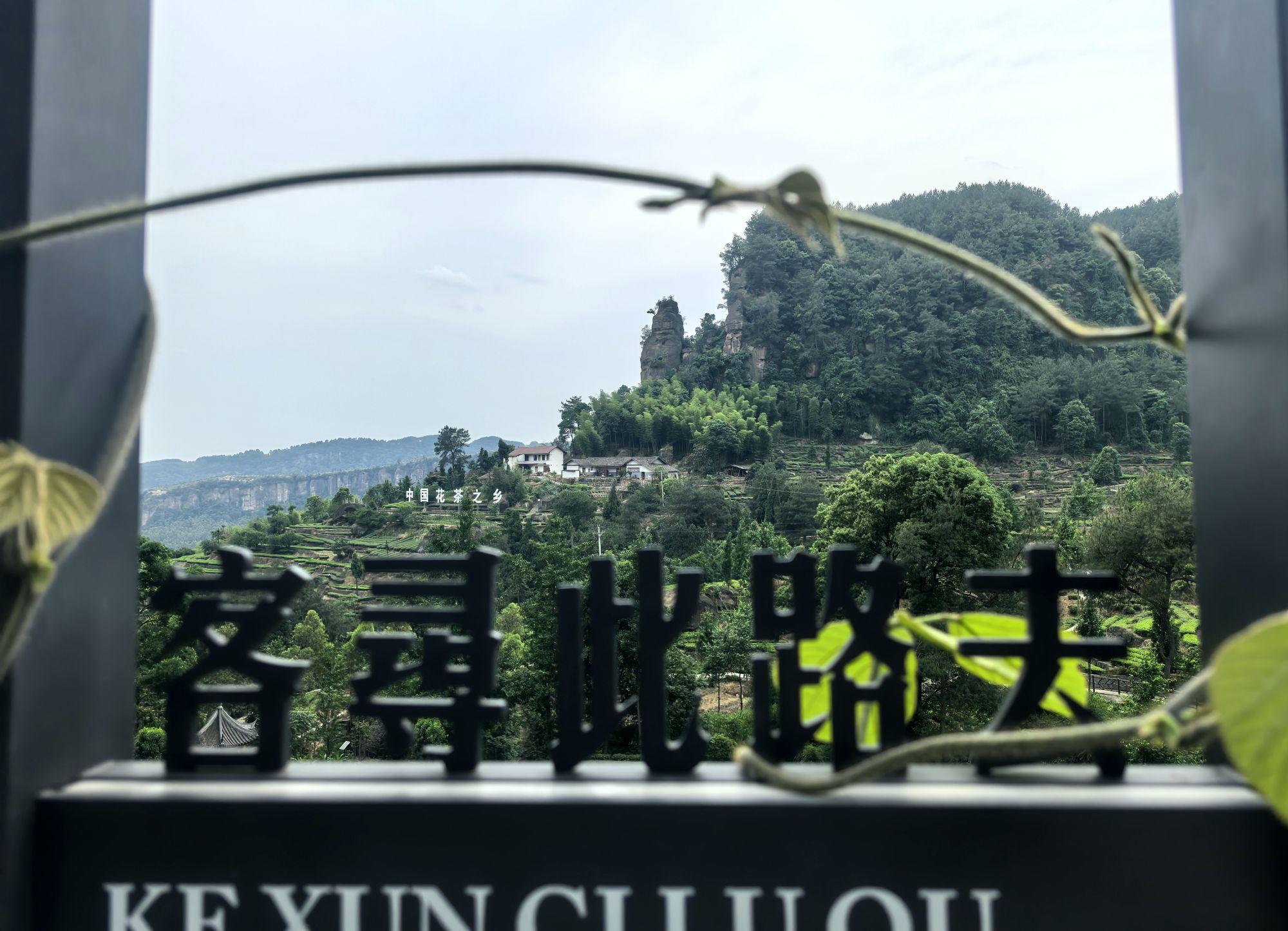 田园2