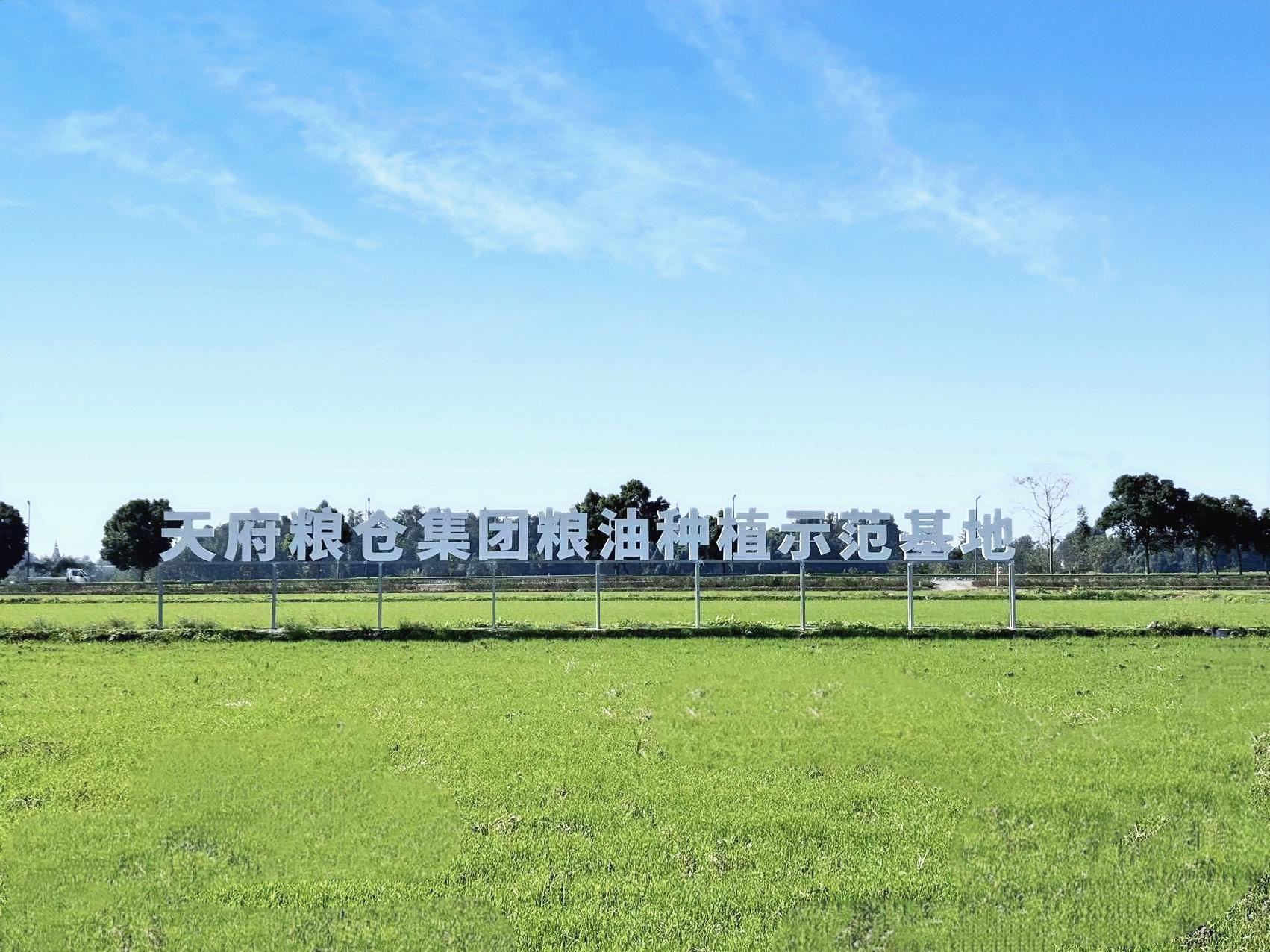 2025年新津区宜居宜业和美乡村建设重点项目涵盖广泛，总投资约30.9亿元。其中，智繁养鸡专业合作社蛋鸡养殖项目、天府粮仓粮油生产及社会化服务项目、东方希望现代化生猪养殖基地项目等亮点突出。值得关注的是，新津东方希望畜牧有限公司计划在安西镇投资约15亿元，建设数字化智慧养猪场，采用全程智能化养猪模式。项目建成达产后，预计生猪年出栏量超45万头，年产值约15亿元，还将提供不少于50个就业岗位。