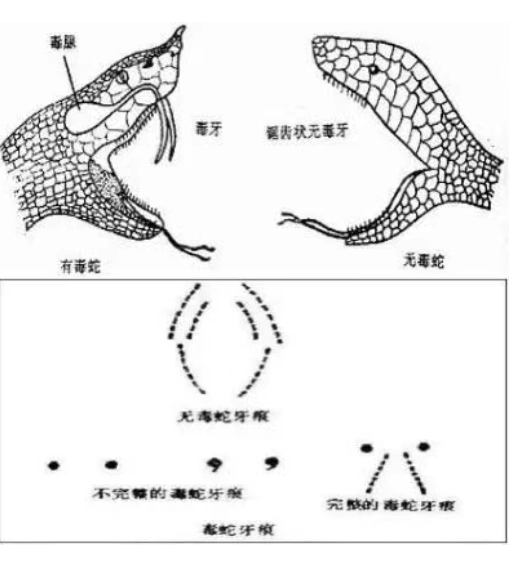 微信截图_20250605135215