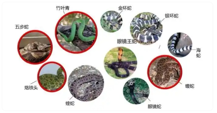 微信截图_20250605135251