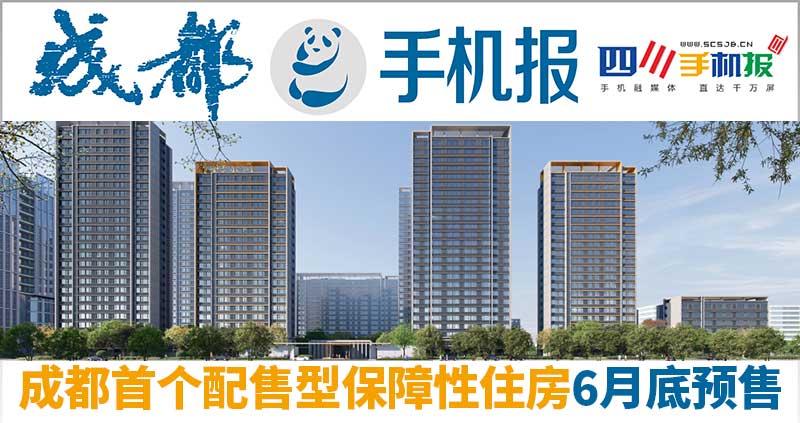 手机报主图