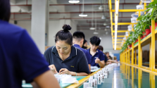 拼多多千亿扶持搭台 小鱼缸在电商西进中找到大商机