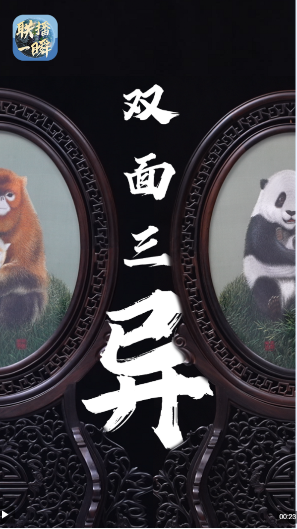 联想截图_20250615160820