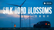 新华社纪录片｜丝路花开