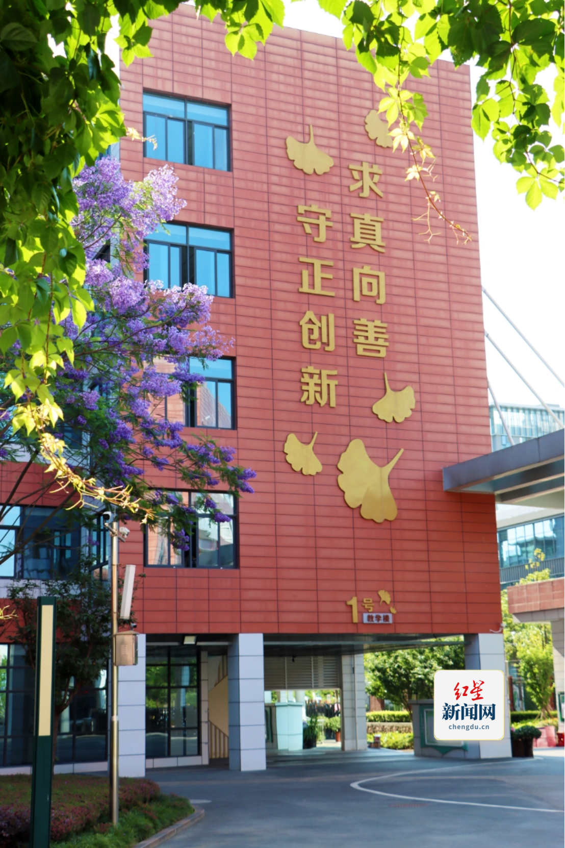 省教科院附中 (1)521