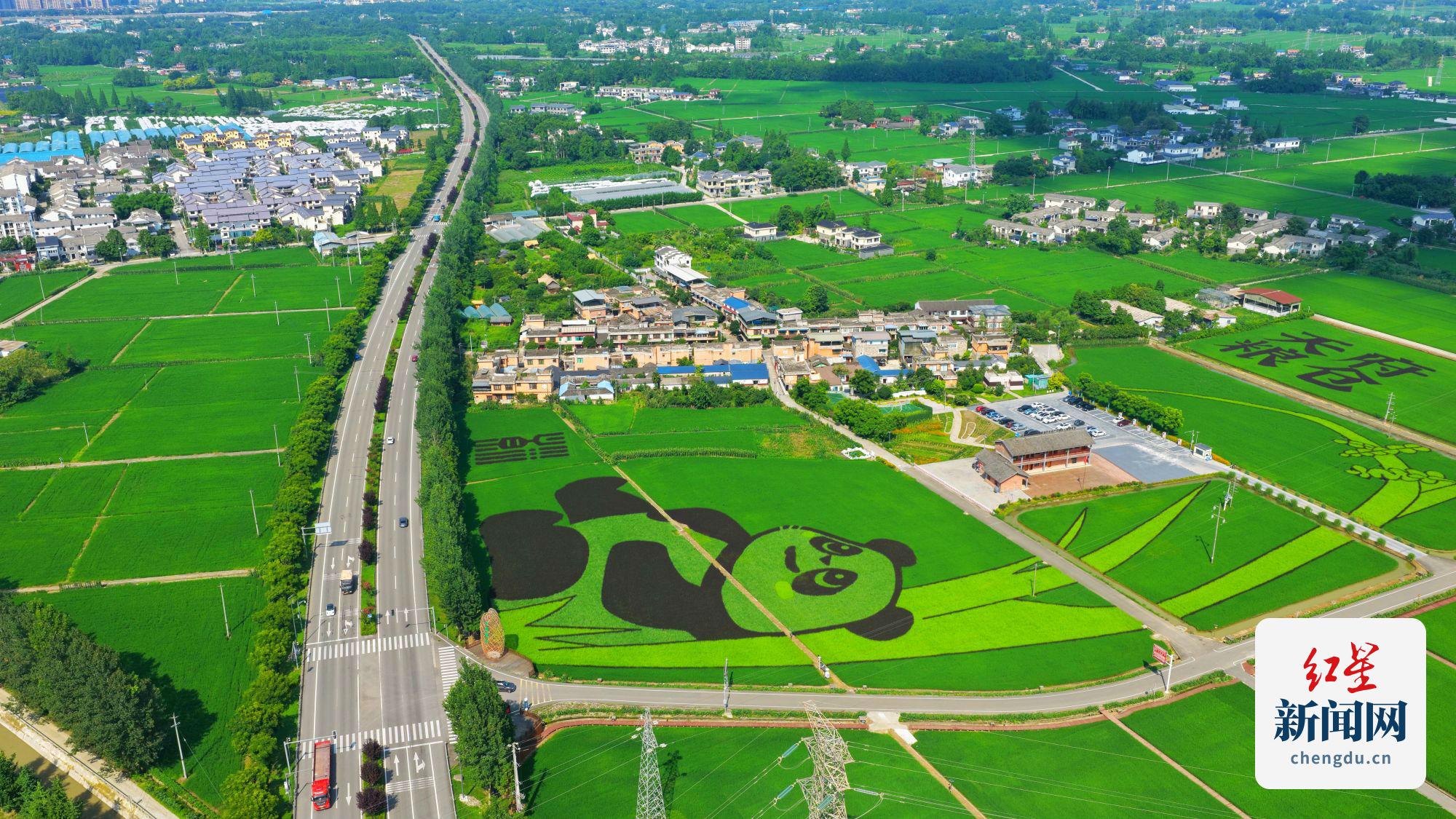 DJI_20250709161658_0128_D-01